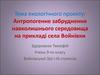 Антропогенне забруднення навколишнього середовища на прикладі села Войнівки