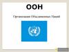 Организация Объединенных Наций