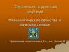 Сердечно-сосудистая система. Физиологические свойства и функции сердца
