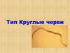 Тип Круглые черви