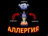 Аллергия туралы түсінікпен таныстырып, оның пайда болу себептері мен даму жолдарын талдап үйрету