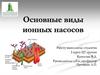 Основные виды ионных насосов
