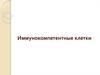 Иммунокомпетентные клетки