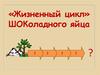 Жизненный цикл "Шоколадного яйца". Экослед товара