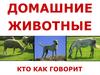 Домашние животные. Кто как говорит
