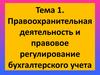 Правоохранительная деятельность и правовое регулирование бухгалтерского учета. (Тема 1)