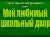 Проект озеленения школьного двора