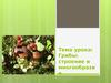 Грибы: строение и многообразие. Урок