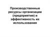 Производственные ресурсы организации (предприятия) и эффективность их использования