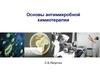 Антимикробная химиотерапия