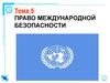 Тема 5. Право международной безопасности