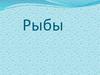 Рыбы хищные,  всеядные, растительноядные