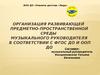 Организация развивающей предметно-пространственной среды музыкального руководителя в соответствии с ФГОС ДО