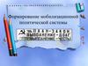 Формирование мобилизационной политической системы в СССР