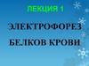 Электрофорез белков крови