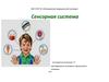 Сенсорная система. (Тема 11.2)