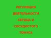 Регуляция деятельности сердца и сосудистого тонуса
