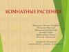Комнатные растения