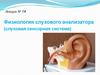 Физиология слухового анализатора