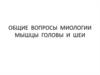 Общие вопросы миологии мышцы головы и шеи