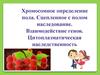 Хромосомное определение пола. Сцепленное с полом наследование. Взаимодействие генов. Цитоплазматическая наследственность