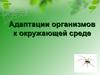 Адаптации организмов к окружающей среде