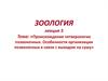 Происхождение четвероногих позвоночных. Особенности организации позвоночных в связи с выходом на сушу