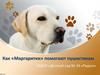 Как" Маргаритки" помогают пушистикам