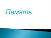 Память человека