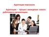 Адаптация персонала в организации
