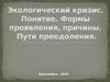 Экологический кризис.Понятие.Формы проявления, причины.Пути преодоления