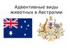 Адвентивные виды животных в Австралии