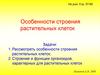 Растительные клетки и их строение