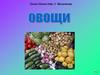 Тувим Юлиан (перевод С. Михалкова). "Овощи"