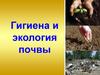 Гигиена и экология почвы