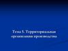 Территориальная организация производства