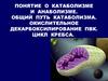 Катаболизм и анаболизм. Общий путь катаболизма. Окислительное декарбоксилирование ПВК. Цикл Кребса