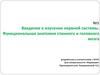 Введение в изучение нервной системы. Функциональная анатомия спинного и головного мозга