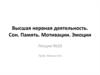 Роль ретикулярной формации в интегративной деятельности мозга