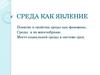 Среда, как явление. Место социальной среды в системе сред