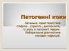Загальна характеристика стафіло- стрепто- диплококів, їх роль в патології тварин. Лабораторна діагностика кокових інфекцій