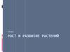 Рост и развитие растений. (6 класс)
