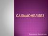 Сальмонеллез. Основные факторы патогенности