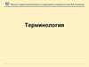 Терминология. Экономика