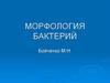 Морфология бактерий