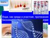 Вода как среда и участник протекания биохимических процессов в организме