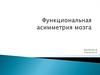 Функциональная асимметрия мозга