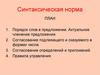 Синтаксическая норма