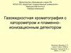 Газожидкостная хроматография с каторометром и пламенно-ионизационным детектором