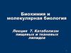 Катаболизм пищевых и тканевых липидов. (Лекция 7)